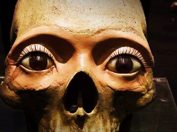 Conoce 5 de los museos más raros e inusuales de México