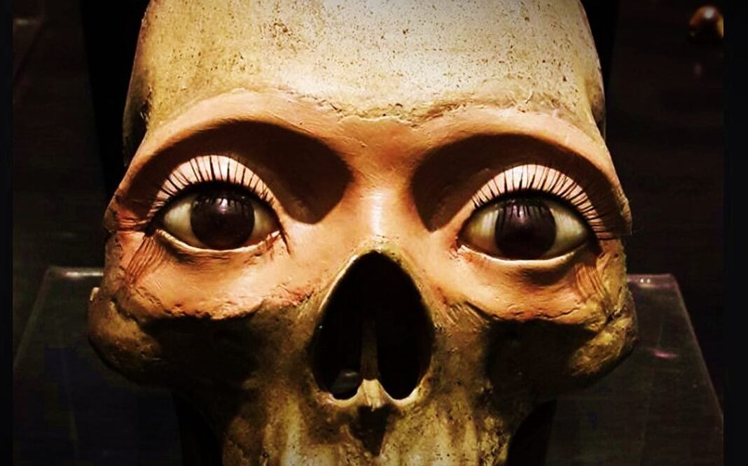 México está lleno de museos increíbles... y raros también. Foto: Museo Nacional de la Muerte