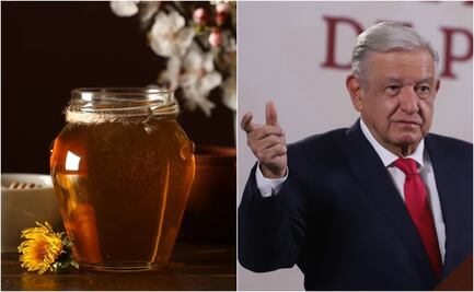 ¿Qué es y dónde se origina la miel melipona que usó AMLO como remedio para el Covid-19?