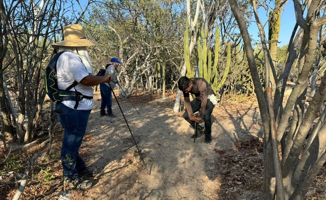 Los colectivos de búsqueda de personas desaparecidas de La Paz y Los Cabos, BCS , confirmaron el hallazgo e identificación de seis personas. Foto: especial