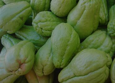 Conoce los beneficios de comer chayote todos los días