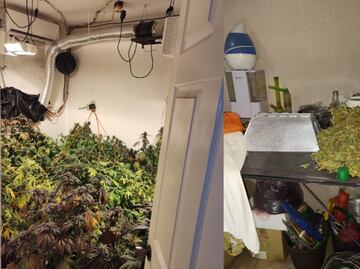 Desmantelan narcolaboratorio en Ecatepec; hay un detenido