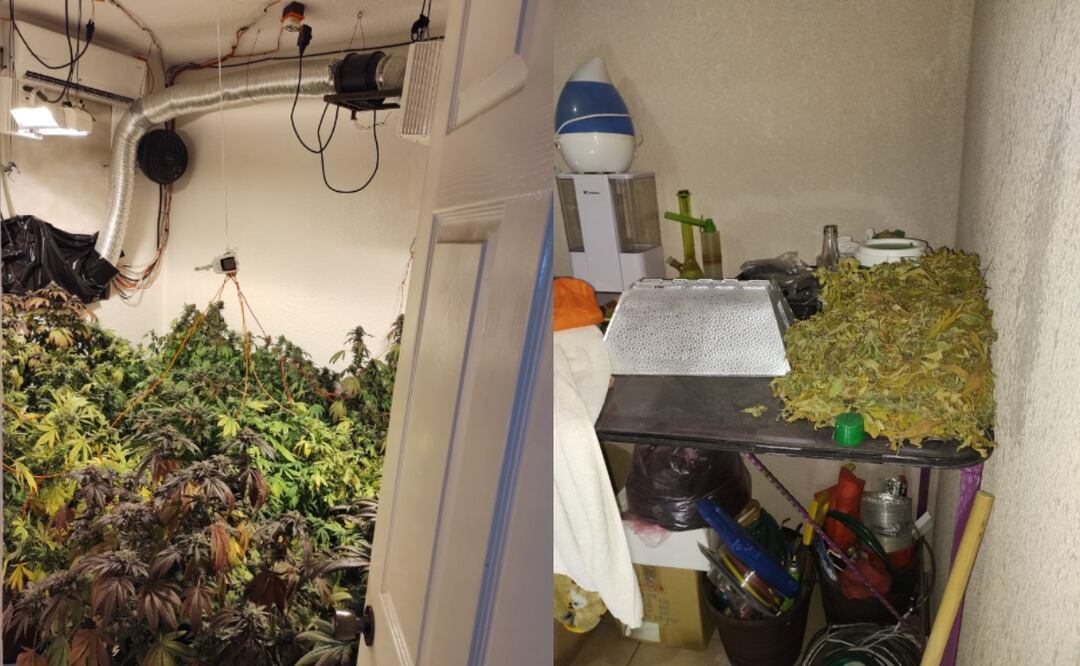 Foto: Especial/El Universal/ El detenido fue puesto a disposición del Agente del Ministerio Público del fuero federal por ser un tema de su competencia