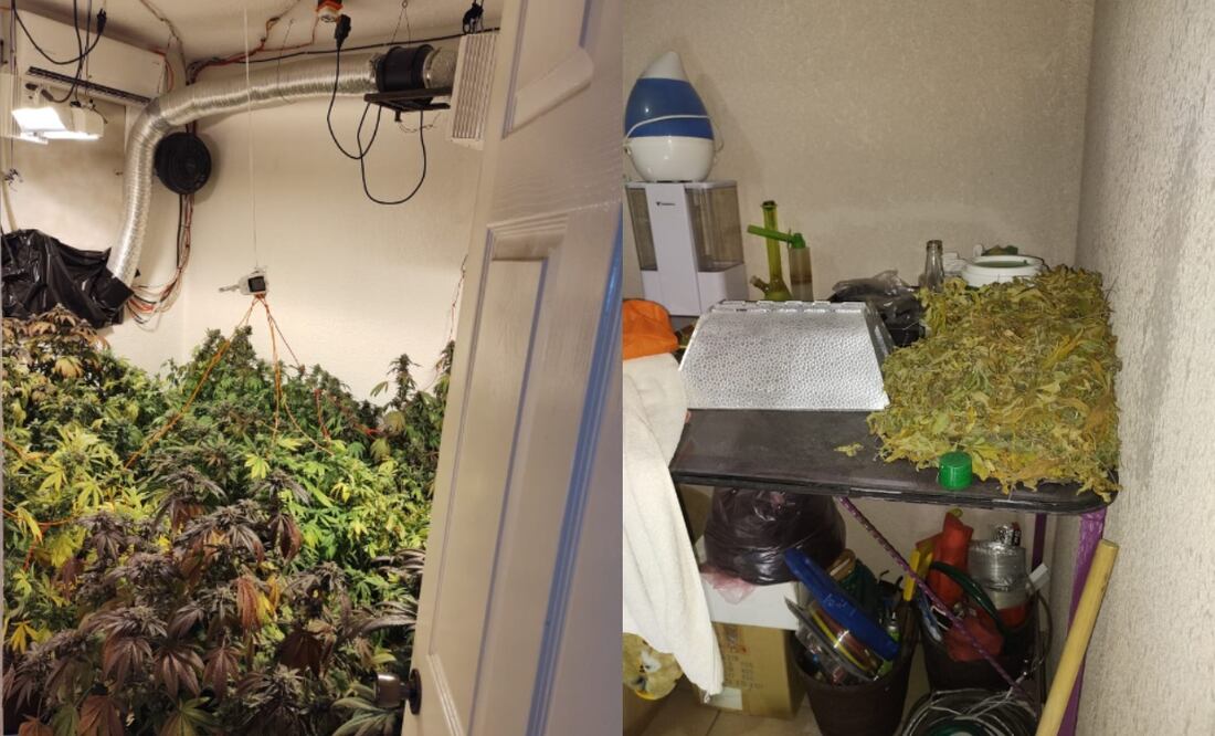 Foto: Especial/El Universal/ El detenido fue puesto a disposición del Agente del Ministerio Público del fuero federal por ser un tema de su competencia