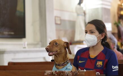 Llevan a bendecir a las otras "bendis" en Puebla