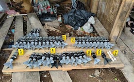 Aseguran 45 artefactos explosivos en Tamazula, Durango; fueron destruidos por personal especializado