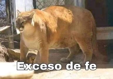 Pumas pasó por encima a Puebla y se llevó LOS MEJORES MEMES; así festejó la afición