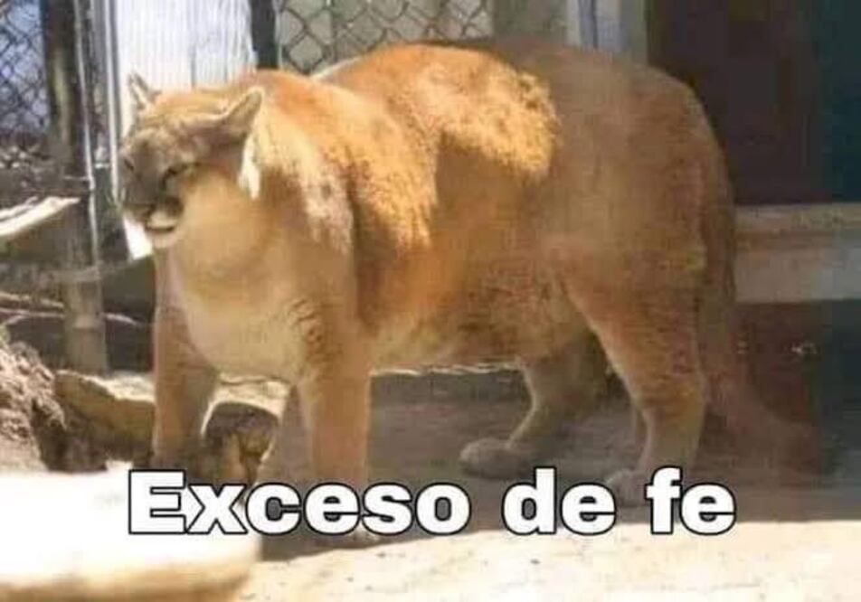 Los MEJORES MEMES del triunfo de Pumas