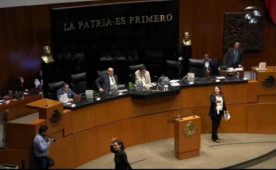 Sesión en el Senado hoy, 13 de noviembre de 2024. Foto: Captura de pantalla