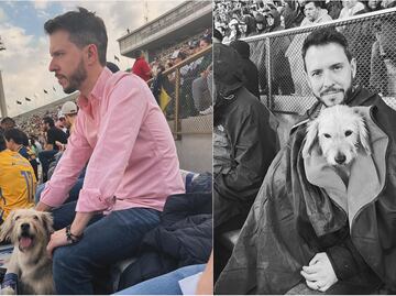 Comentarista rescata y adopta a perrito en pleno partido de la Liga MX
