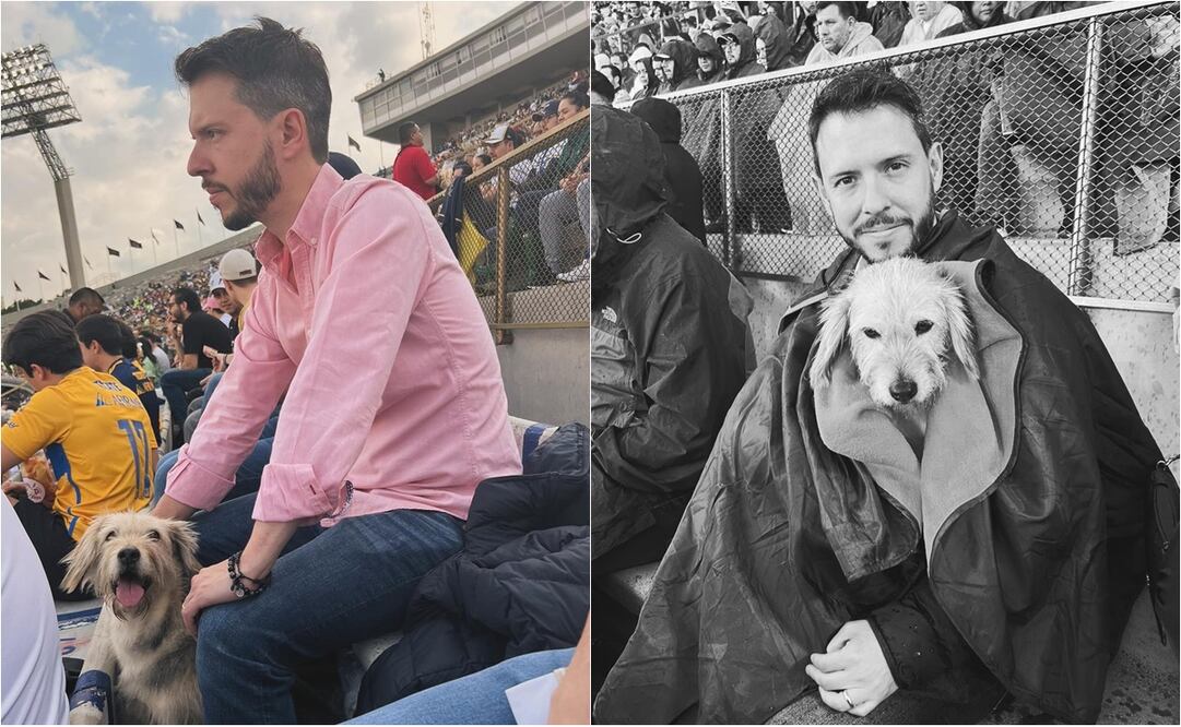 FOTO: @PepedelBosque - Comentarista rescata y adopta a perrito en pleno partido de la Liga MX