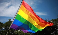 Marcha LGBT 2026: ¿Qué significa cada color de la bandera del orgullo?; descubre su historia