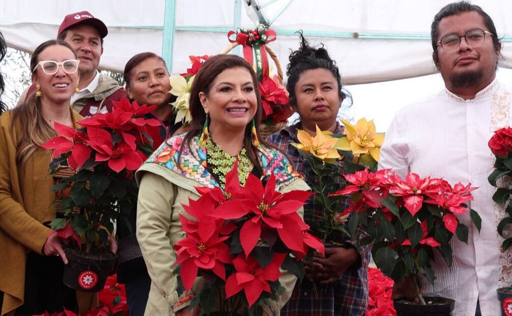 Arranca venta de nochebuena en CDMX; producción alcanzó 1.8 millones de flores.
Foto: Especial.