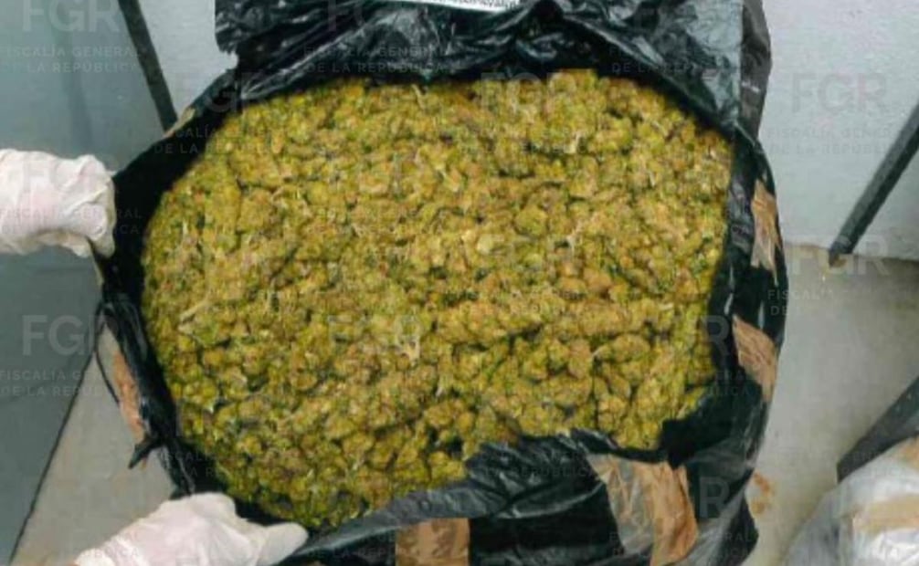 Decomiso en marihuana en Oaxaca. Foto: Especial