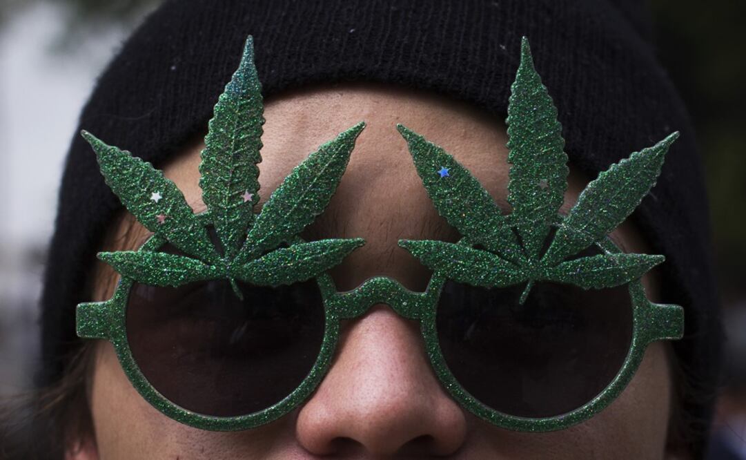 Marijuana could soon become legal - Photo: File Photo/CUARTOSCURO.COM