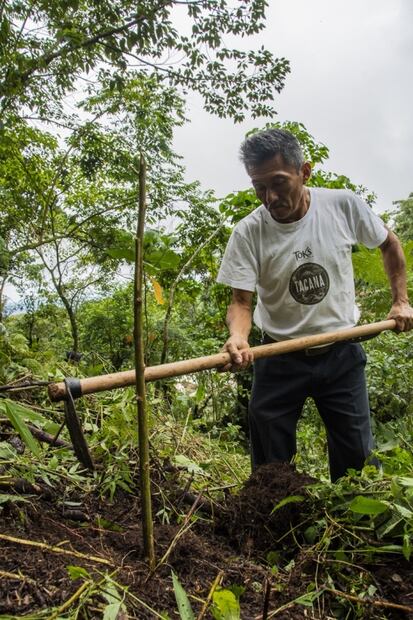 Conoce los retos que enfrentan los caficultores del Tacaná, Chiapas