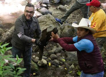 Brigadistas realizan primera jornada de limpieza en el Río Magdalena; retiran basura y objetos orgánicos