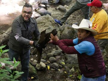 Brigadistas realizan primera jornada de limpieza en el Río Magdalena; retiran basura y objetos orgánicos