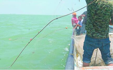 Por falta de respuesta, urgen pescadores permiso de captura