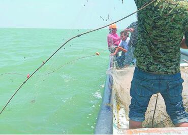 Por falta de respuesta, urgen pescadores permiso de captura