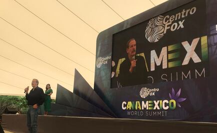 De legalizarse, instalaría un invernadero para producción de marihuana: Fox