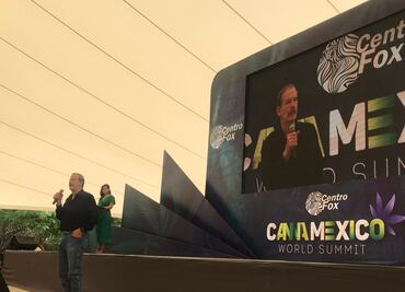 De legalizarse, instalaría un invernadero para producción de marihuana: Fox