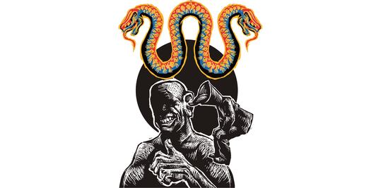 ¿Seade le mintió al Senado?