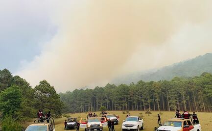 Aumentan a 500 las hectáreas afectadas por incendio descontrolado en Ciudad Victoria