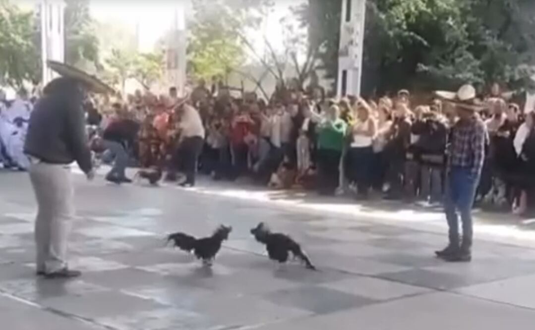 Foto: Captura de pantalla