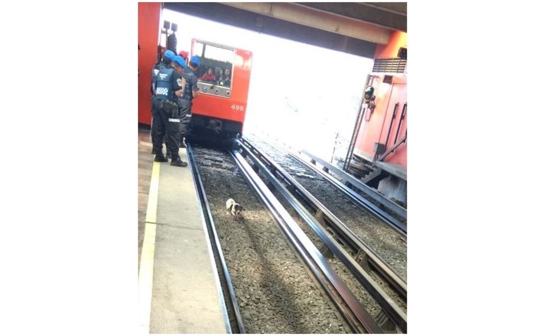 Foto: TWITTER @MetroCDMX