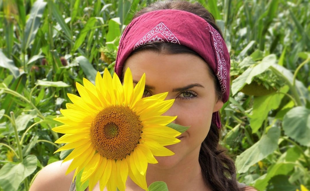 Colágeno con semillas de girasol. Fuente: Pixabay