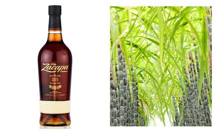 Conversación Ronera