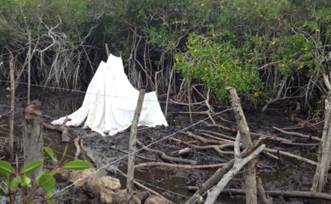 Foto tomada de Twitter @PROFEPA_Mx