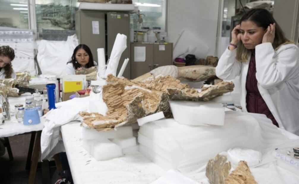 La restauración del Apóstol Santiago dañado por los sismos del 2017