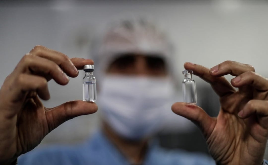The vaccine would be ready by the first hald of 2021 - Photo: Antonio Larceda/EFE