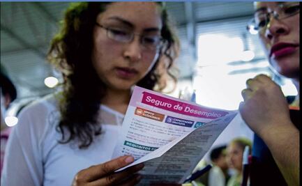 En 11 ciudades se ubican 67% de desocupados: Inegi