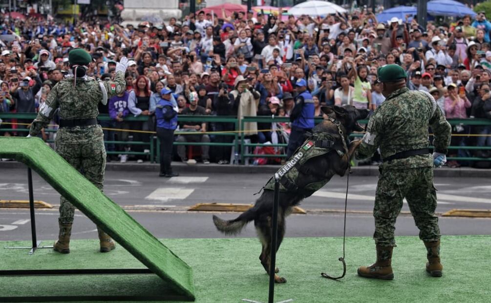 Binomio canino haciendo una demostración del importante trabajo que desarrolla en el Ejército mexicano. Foto: Fernanda Rojas / EL UNIVERSAL