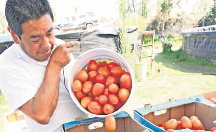 El agro no es prioridad para la 4T, acusa el CNA