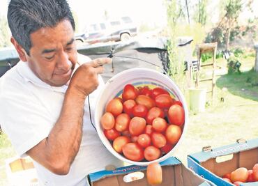 El agro no es prioridad para la 4T, acusa el CNA