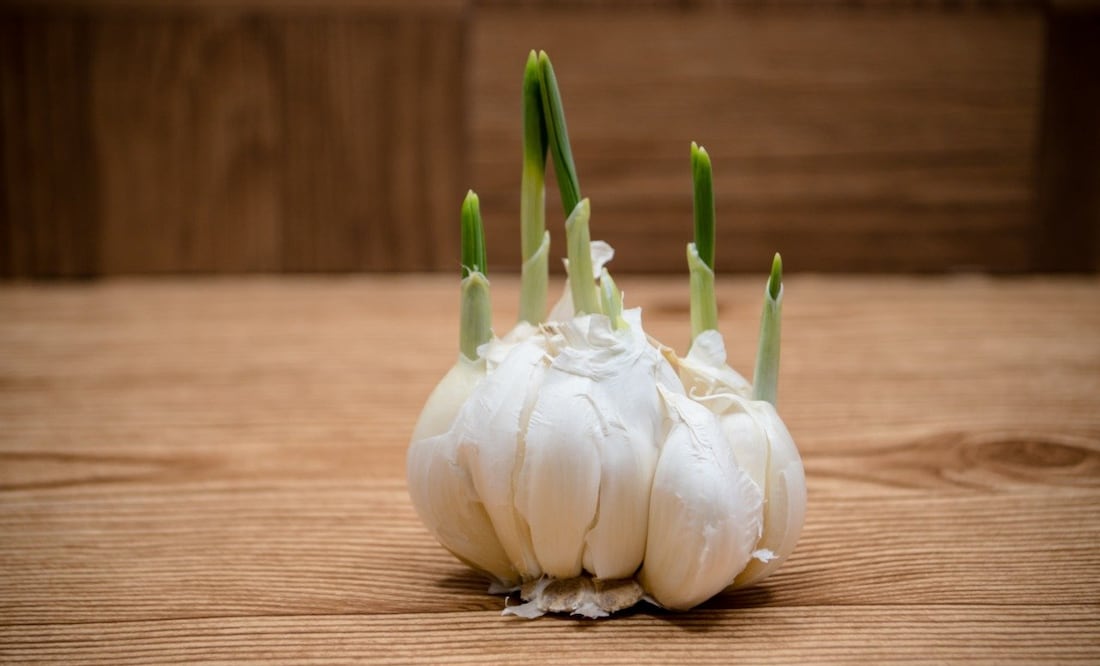 Previenen el envejecimiento prematuro