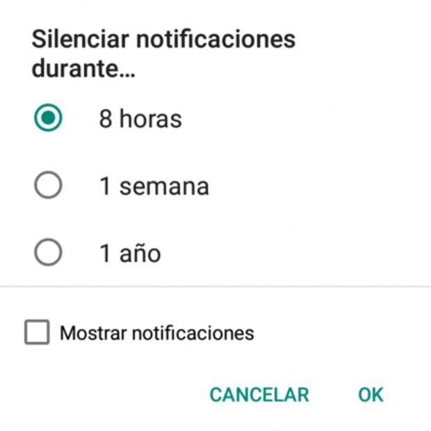 Deja de recibir mensajes de un grupo de WhatsApp 