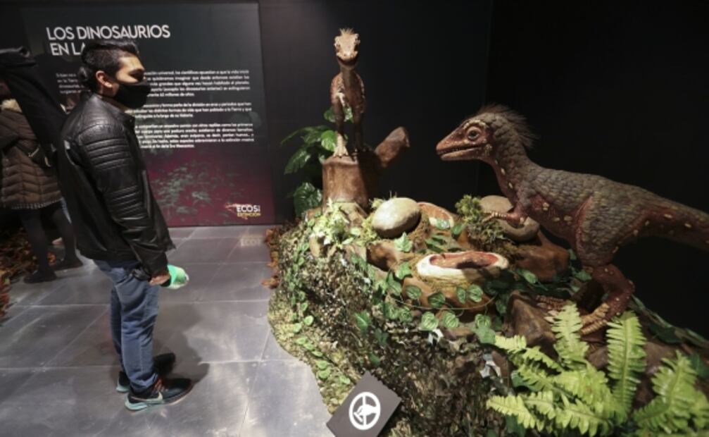 ¡Exposición de altura! Llegan los dinosaurios al Centro Cultural Toluca y esto es lo que debes saber 