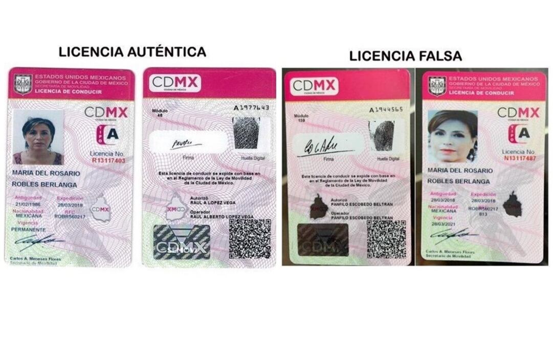 El Ministerio Público expidió una licencia de conducir a nombre de la exfuncionaria, pero con datos falsos y una foto tomada de internet. FOTO: Especial