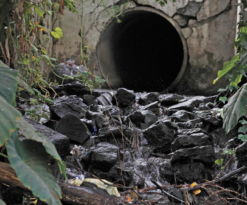 En el embarcadero de Xochimilco desembocan aguas negras. Foto: Archivo EL UNIVERSAL 