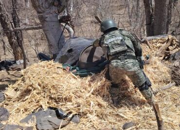 Ejército halla explosivos y mariguana en operativos rurales; aseguran droga, armas y plantíos en Sinaloa