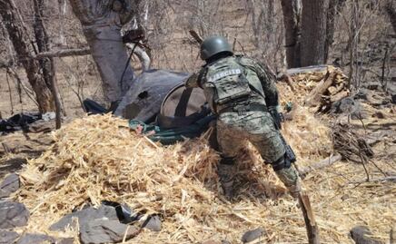 Ejército halla explosivos y mariguana en operativos rurales; aseguran droga, armas y plantíos en Sinaloa