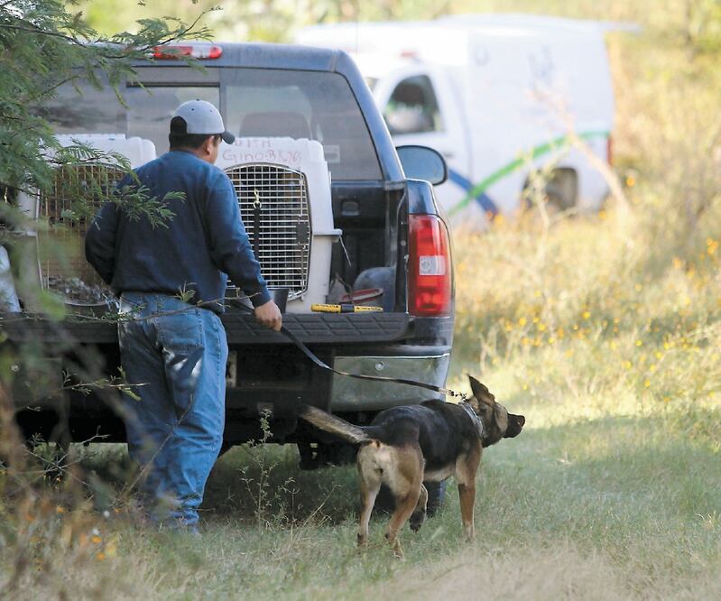 Las acciones de campo buscan el reconocimiento de puntos. ARCHIVO EL UNIVERSAL