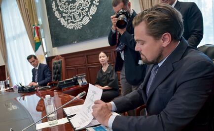 Semarnat reconoce a fundación de Leo DiCaprio por preservar la vaquita marina