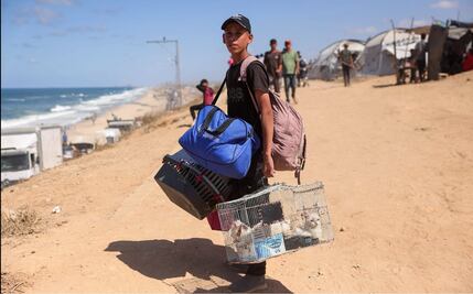 Embajadora de Palestina asegura que iniciaron trabajos para traer niños a México; reconoce ayuda de Fernández Noroña  