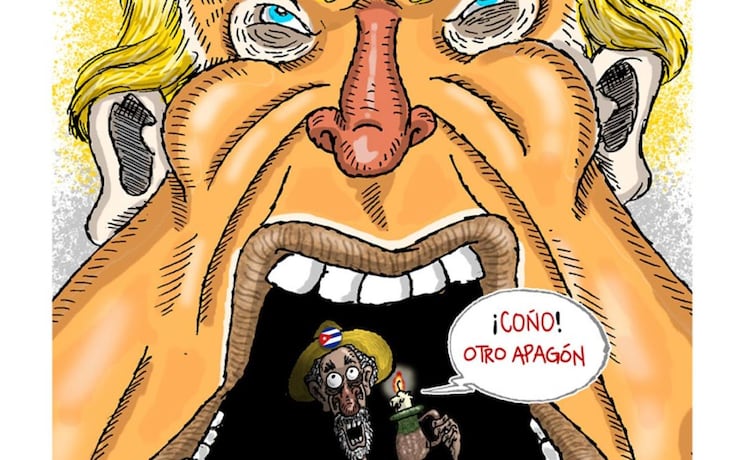 Cartón de FER